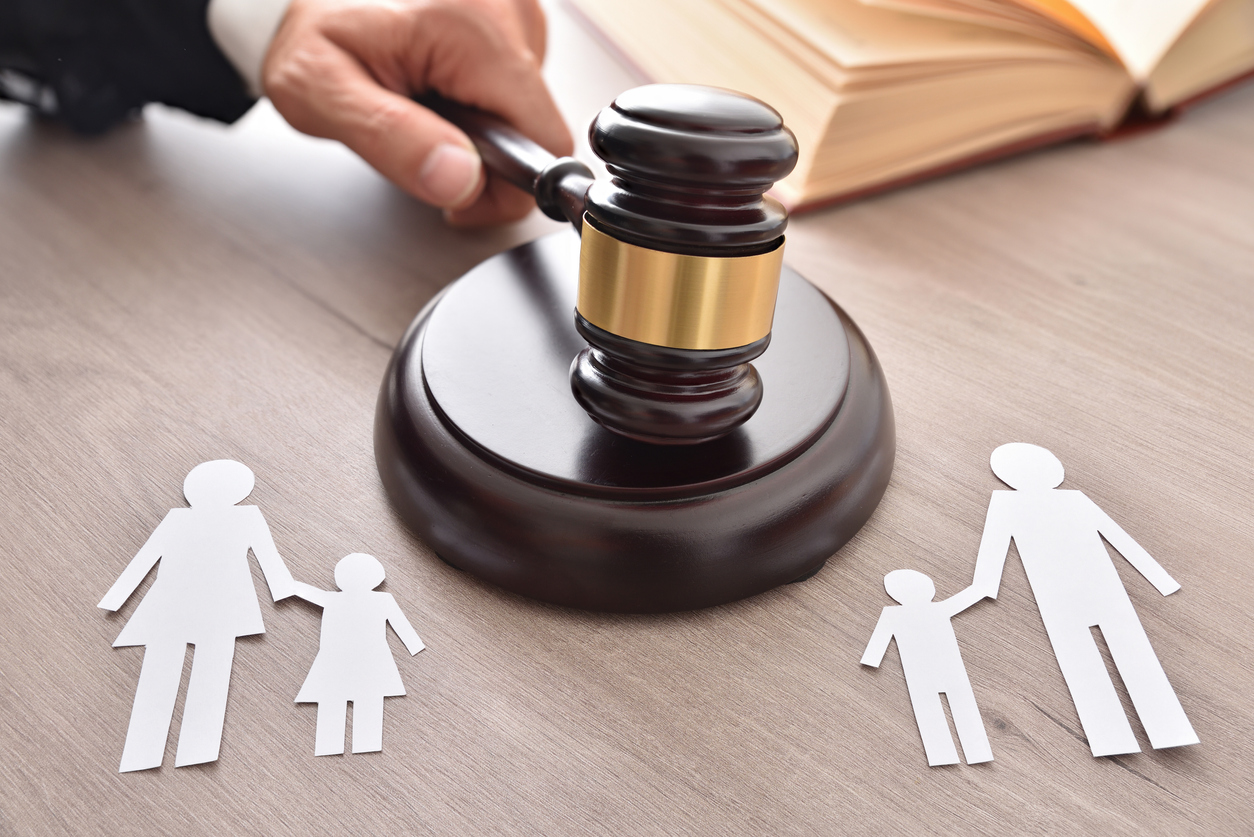Understanding a High-Conflict Custody Case